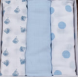 Mussole Azzurro Variante 1